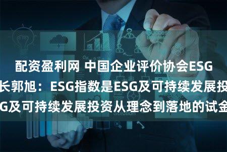 配资盈利网 中国企业评价协会ESG专委会执行秘书长郭旭：ESG指数是ESG及可持续发展投资从理念到落地的试金石