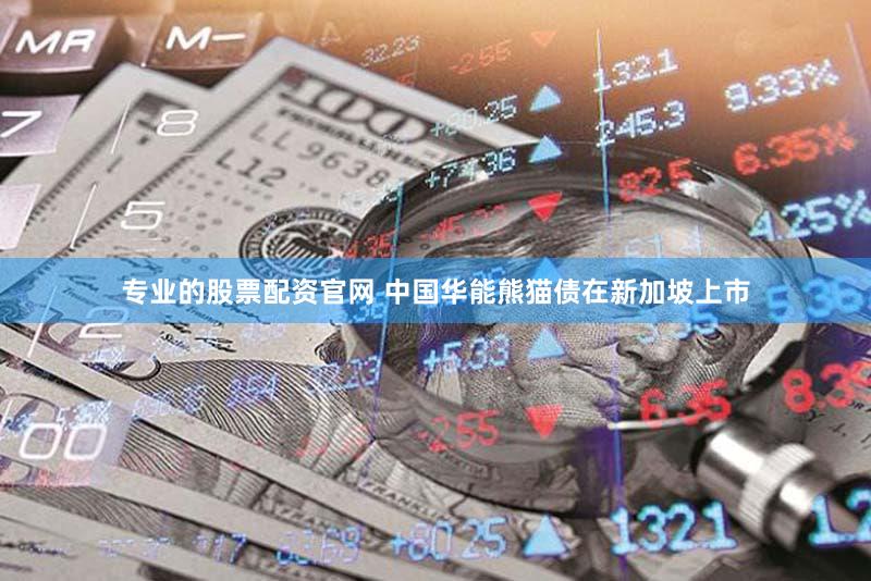 专业的股票配资官网 中国华能熊猫债在新加坡上市