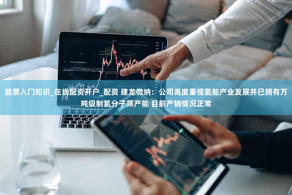 股票入门知识_在线配资开户_配资 建龙微纳：公司高度重视氢能产业发展并已拥有万吨级制氢分子筛产能 目前产销情况正常