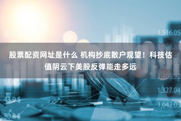 股票配资网址是什么 机构抄底散户观望！科技估值阴云下美股反弹能走多远