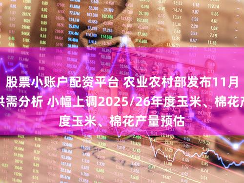 股票小账户配资平台 农业农村部发布11月农产品供需分析 小幅上调2025/26年度玉米、棉花产量预估