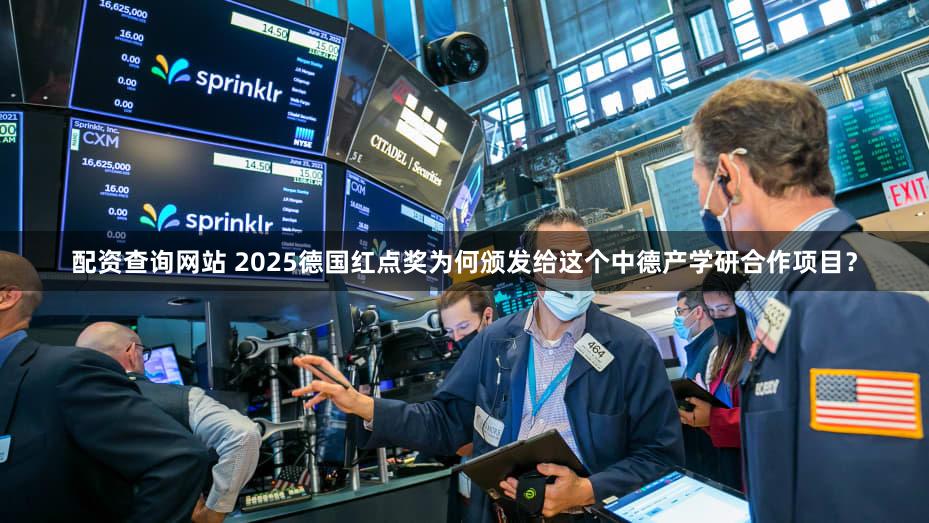 配资查询网站 2025德国红点奖为何颁发给这个中德产学研合作项目？