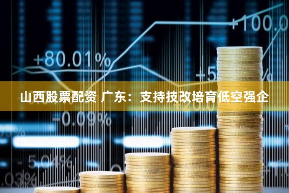 山西股票配资 广东：支持技改培育低空强企