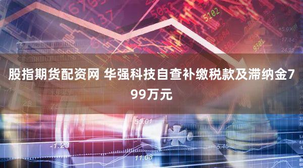 股指期货配资网 华强科技自查补缴税款及滞纳金799万元