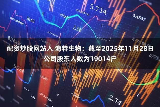 配资炒股网站入 海特生物：截至2025年11月28日公司股东人数为19014户